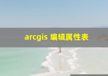 arcgis 编辑属性表